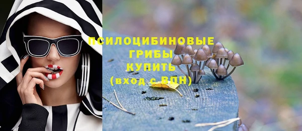винт Лагань