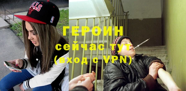 винт Лагань