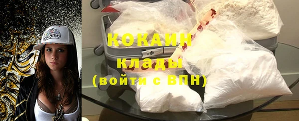 мдпв Кукмор
