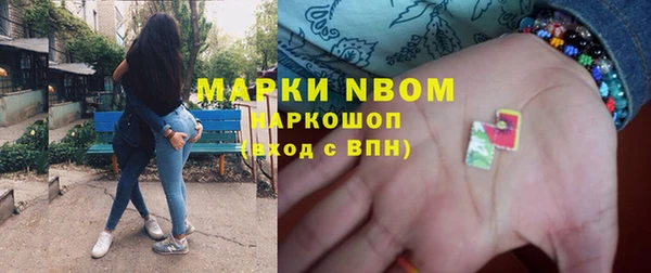 винт Лагань