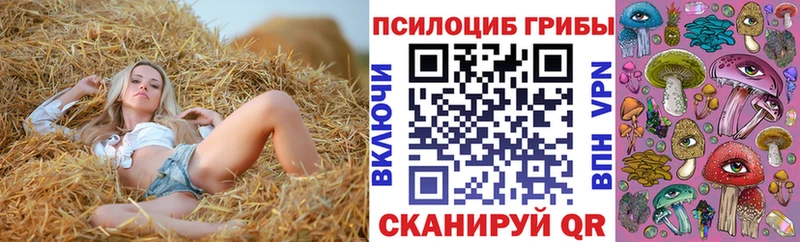 OMG маркетплейс  Комсомольск  Галлюциногенные грибы мицелий  что такое  